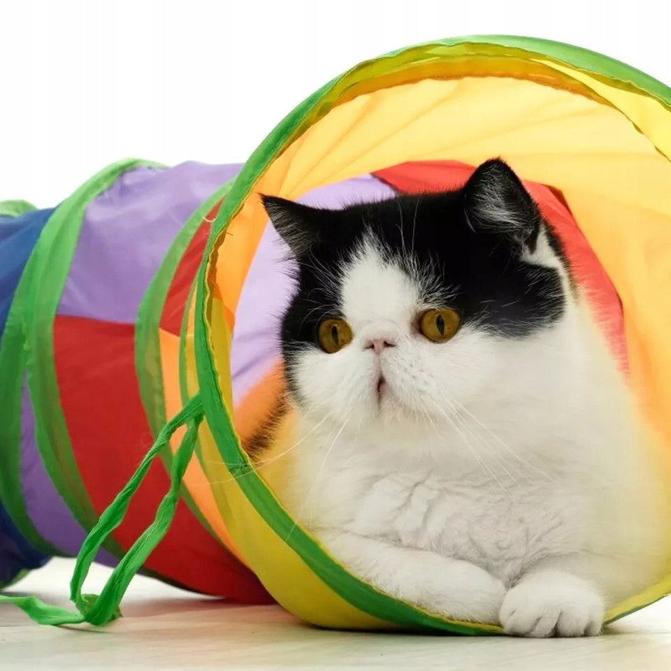 LONG TUNNEL FOR CAT TOY FOR CAT WITH BALL FUN CAT MOVEMENT EAN (GTIN) 5904888020707