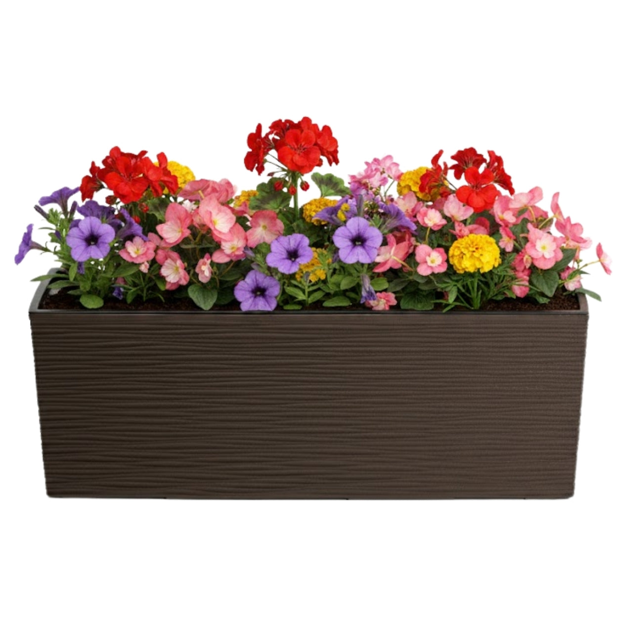 LONGITUDINAL PLANTER BRONZE 56x19 cm garden box flowerbed for terrace balcony Product height 19.5 cm