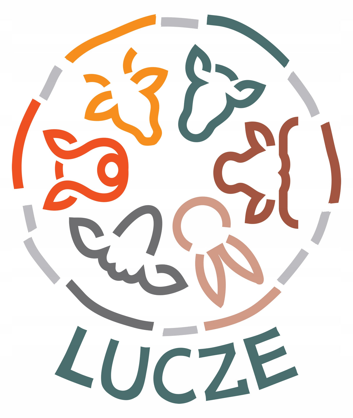 LUCZE Ham bone 1 pc dried 100% NATURAL teether dog treat Flavor pork