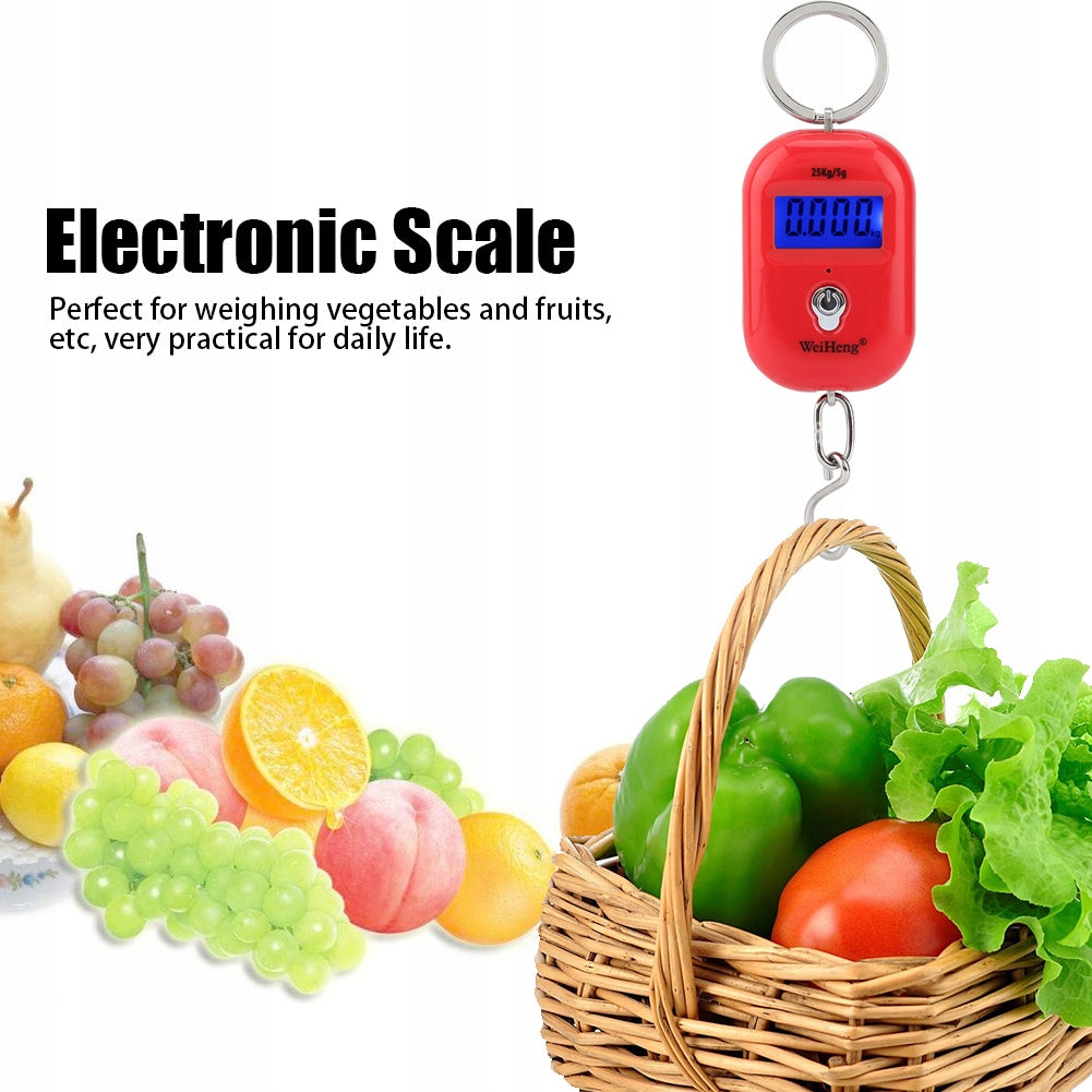 LUGGAGE SCALE AIR TRAVEL POCKET LCD 25kg/5g HOOK Brand no brand