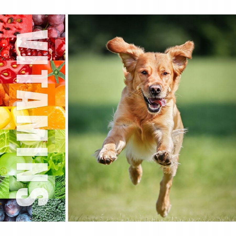 LUPPY Complete Dry Food for Active Dogs Vitamins 10 kg EAN (GTIN) 3800124222916