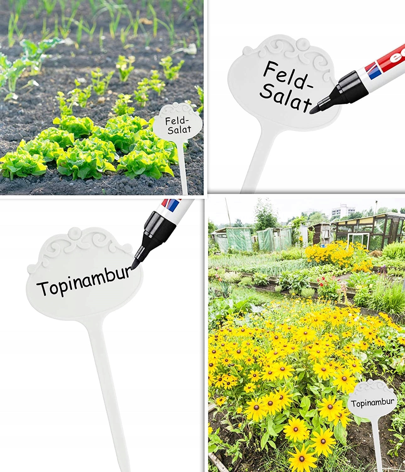 Label Plates Plant Description Tags EAN (GTIN) 5900291335384