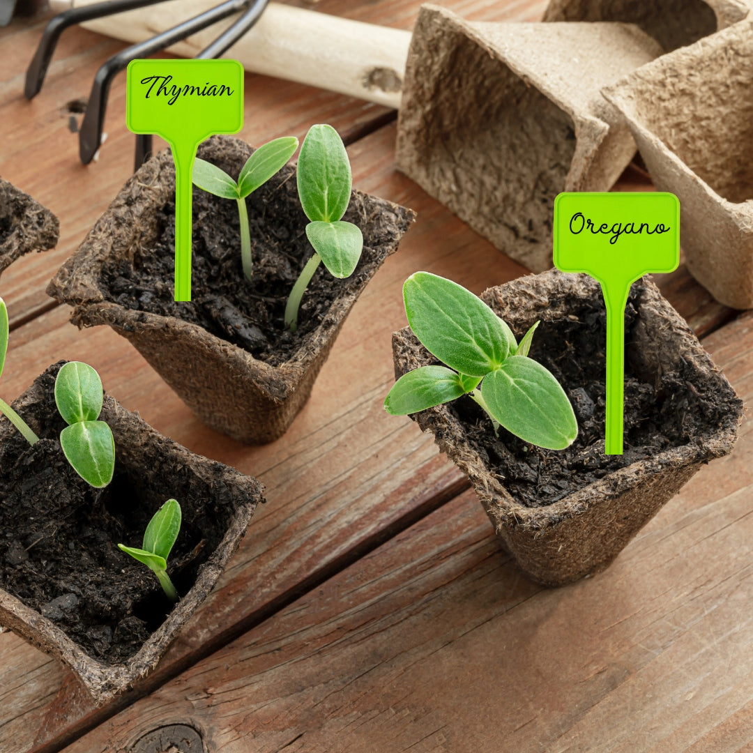 Labels for garden plants 55x35 20pcs. Product height 15 cm