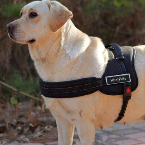 Labrador Shepherd Dog Harness Strong Size XL Manufacturer code 5903099195990