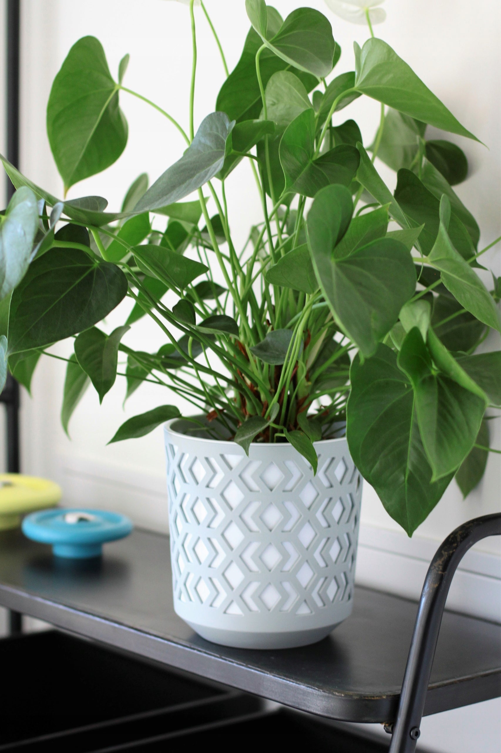 Lamela AZTEK plant pot, diameter 19.5cm white + gray Color white