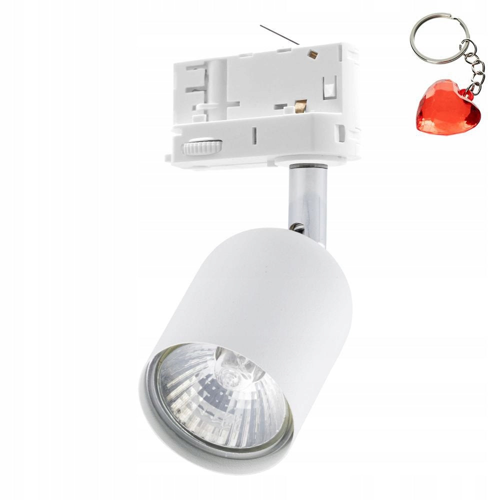 TK LIGHTING 6057 wird in Schienen montiert 