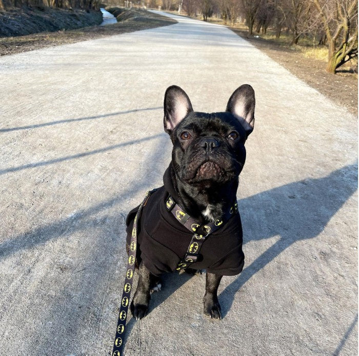 Lanyard For Dog Retractable Bat Dog 220 cm Manufacturer code 5908298101728