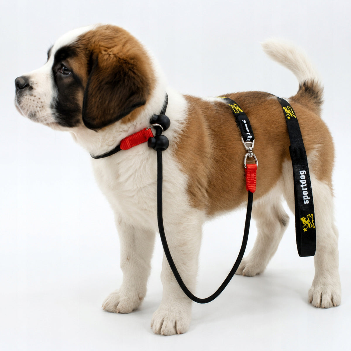 Lanyard Nylon Traction Retractable Training Rope Walking for Training Packaging status original