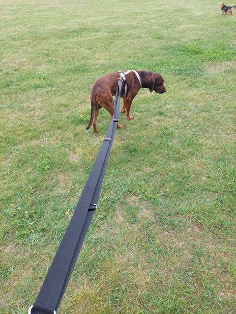 Lanyard Sunka Basic for Big Dog LXL 4cm5m 5/4,6/4,1/3,6/3,1/2,6 Color red