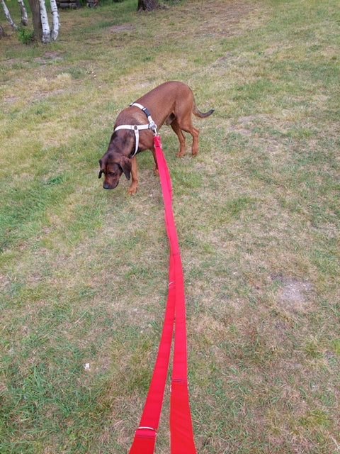 Lanyard Sunka Basic for Big Dog LXL 4cm5m 5/4,6/4,1/3,6/3,1/2,6 Kind detachable