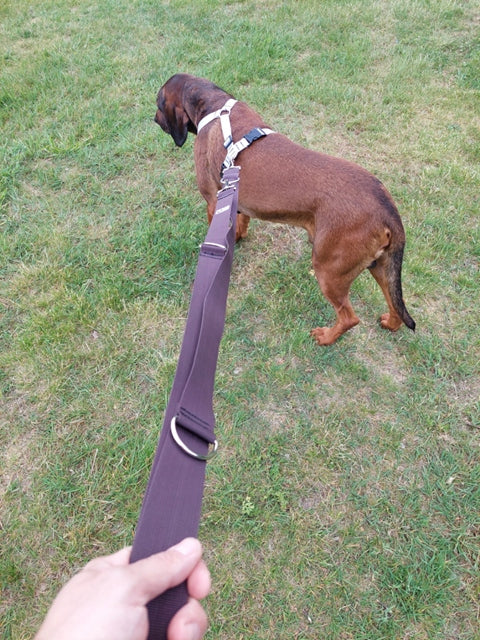 Lanyard Sunka Basic for Big Dog LXL 4cm5m 5/4,6/4,1/3,6/3,1/2,6 Trade name Smycz przepinana dla dużego psa Sunka Exclusive II 5m czerwona