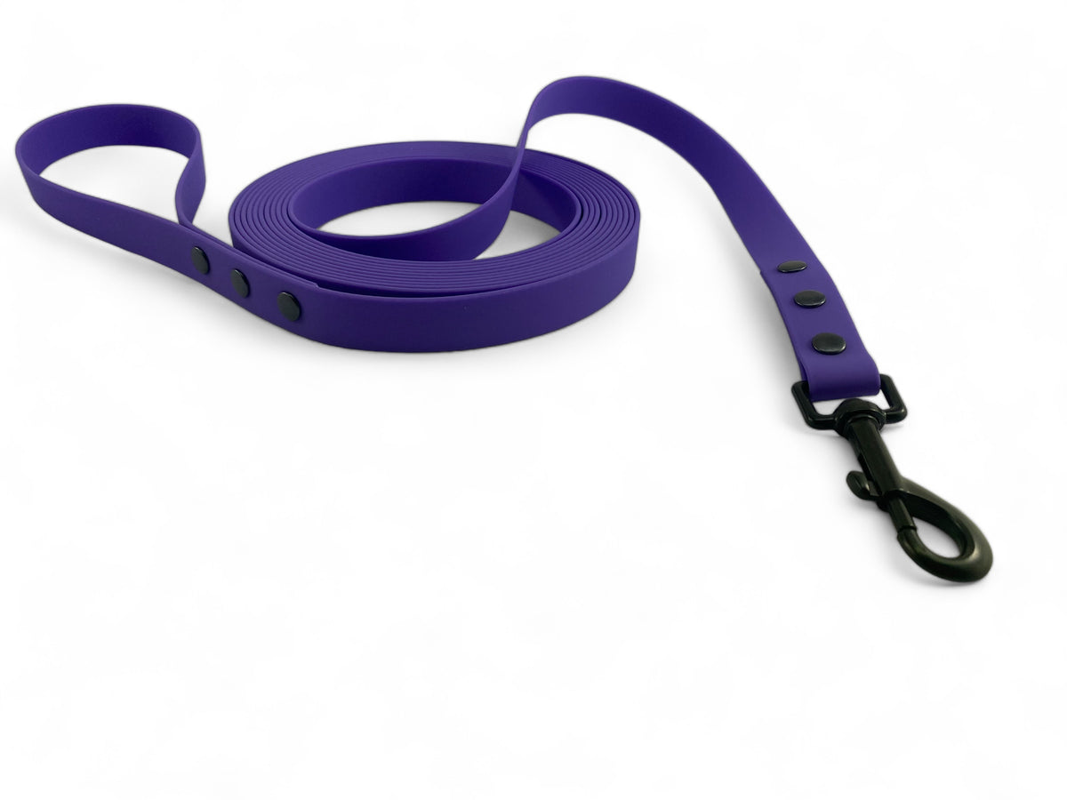 Lanyard WATERPROOF training cord biothane 5m Purple Medium and large dog