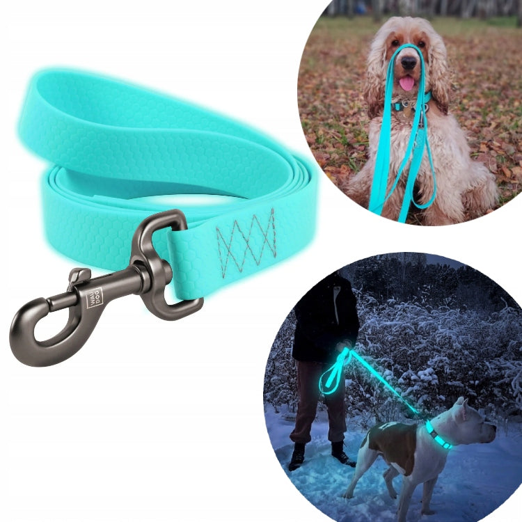 Lanyard Waudog waterproof accumulating light S 122 cm