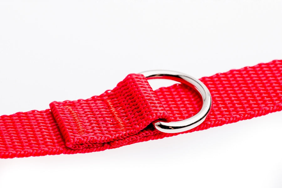 Lanyard adjustable 280cm turquoise Manufacturer code 5903818661966