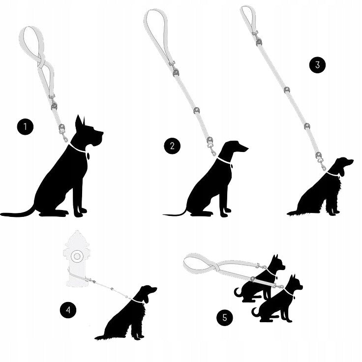 Lanyard for Big Dog Adjustable Retractable 3,2m 4 Overvoltage Woven Strong Color multicolor