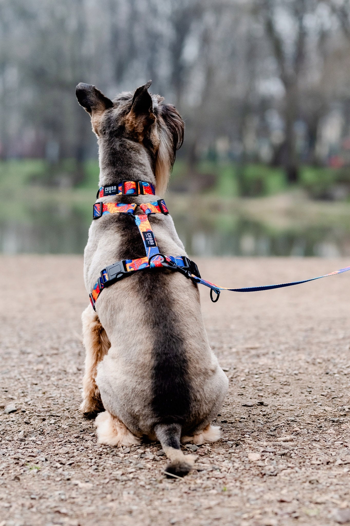Lanyard for Big Dog Chaba Strong Adjustable 1,3 - 2,6M Wide 2,5CM AUSSIE Color multicolor