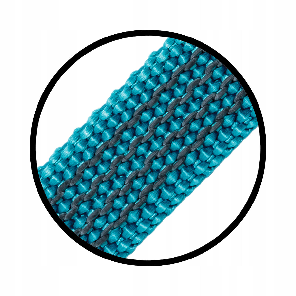 Lanyard for small dog training rubberized 3m turquoise | RASCAL Brand Rascal