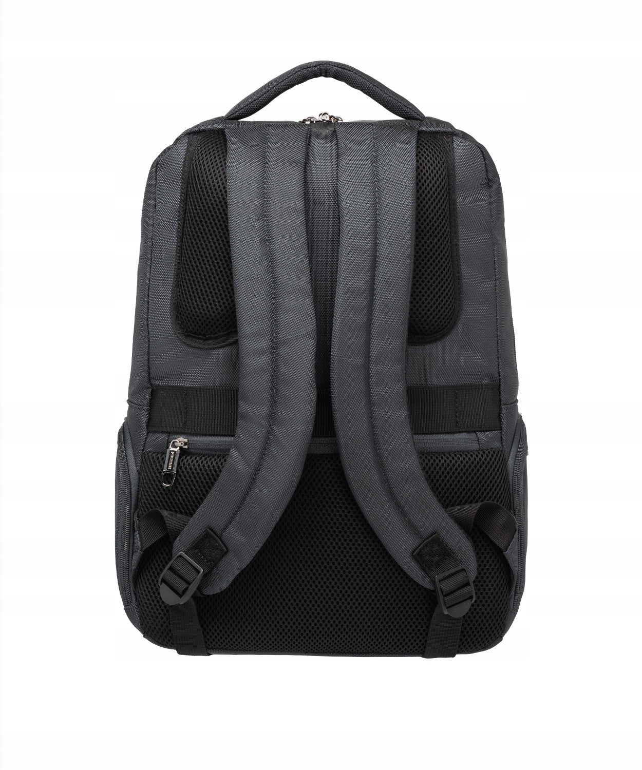Laptop Backpack 15'' for Work School City PUCCINI Black PMD70371-1 EAN (GTIN) 5902308042469