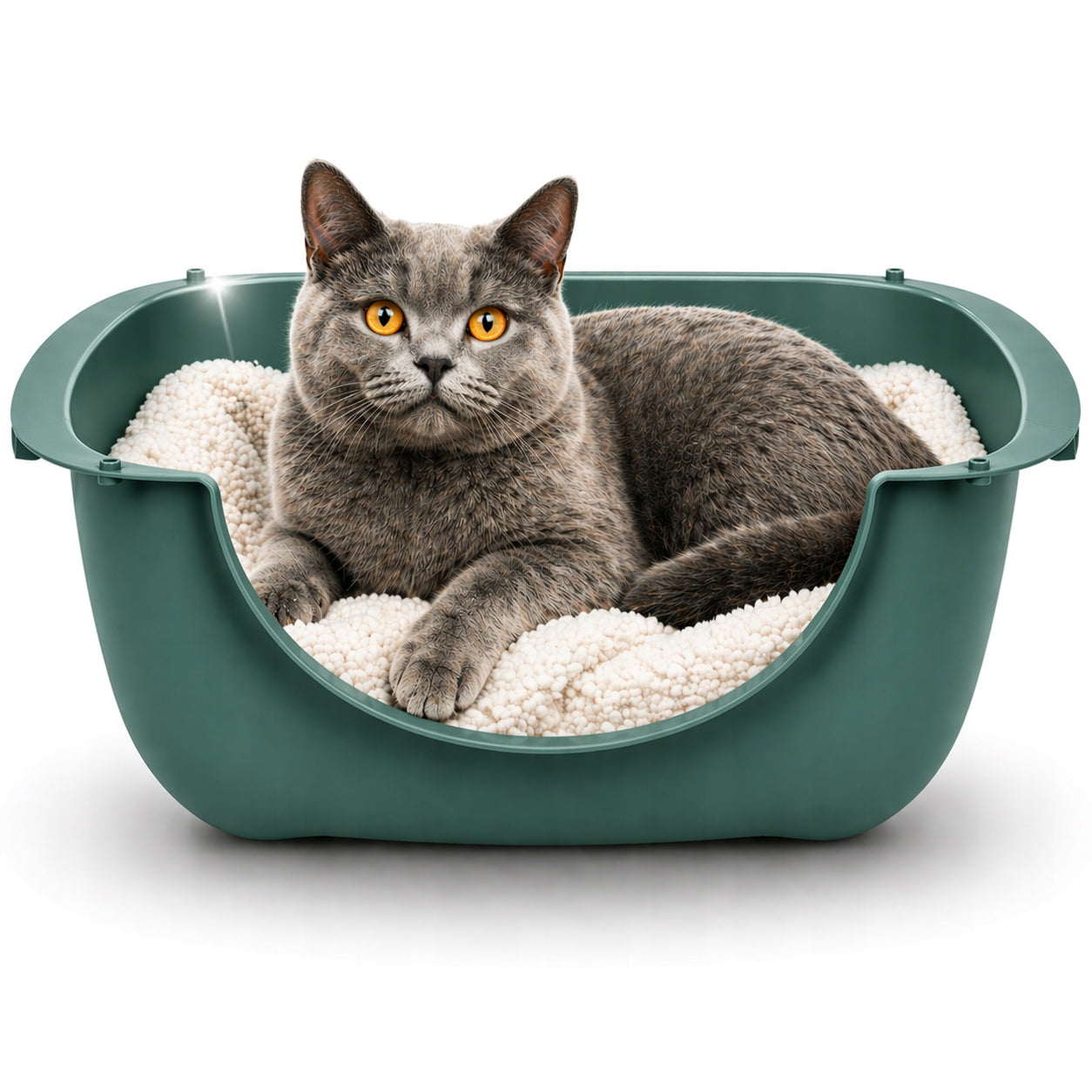 Large Cat Cuvette Open with Low Entry Cat Bed For Litter Model Europlanet Bella Zielona