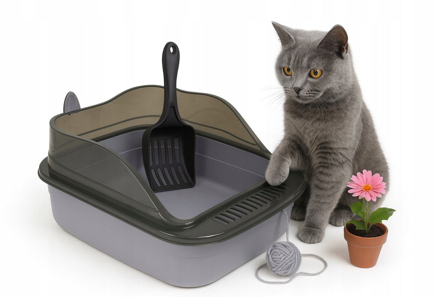 Large Cat Cuvette with Ears YELLOW Open Sturdy Durable XXL Spatula Kind open litter box