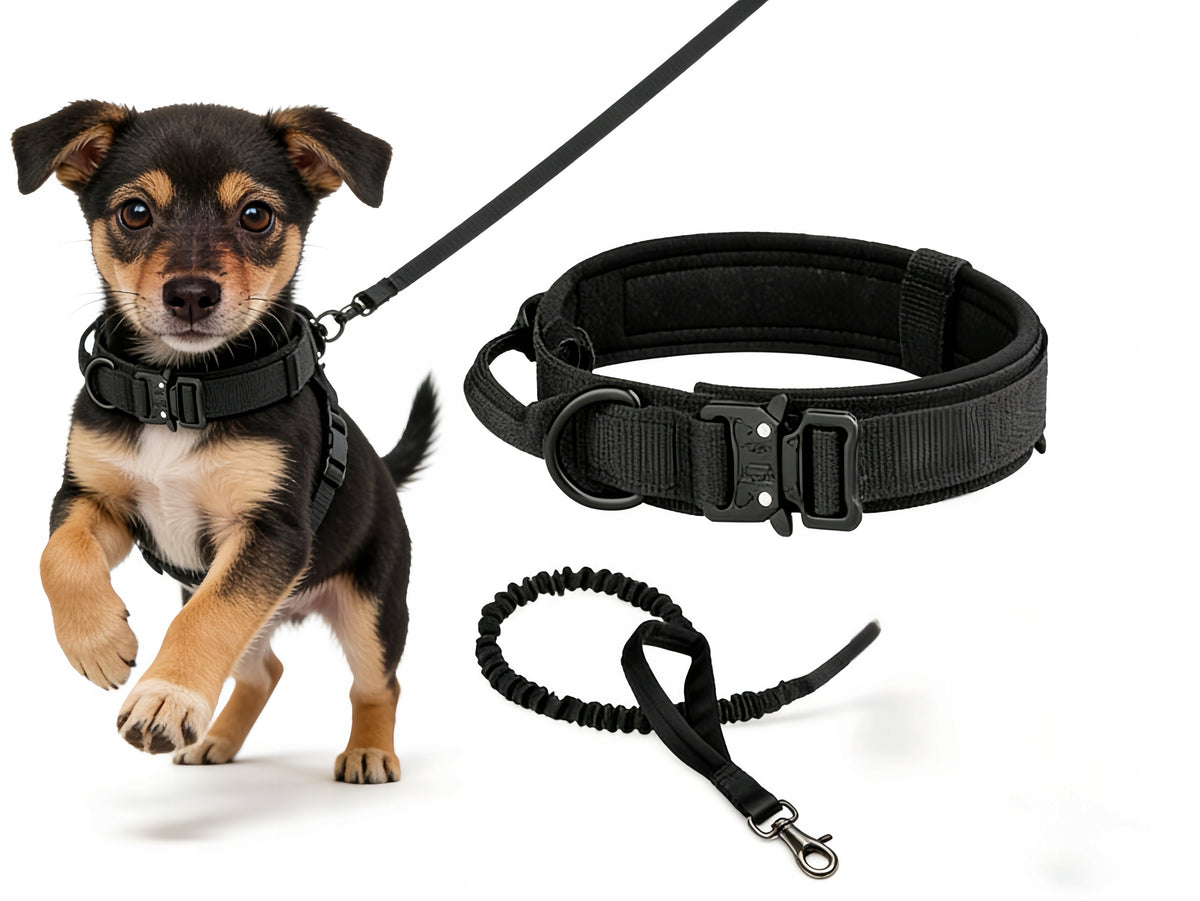 Large Dog Collar Tactical Durable with Handle Buckle XL