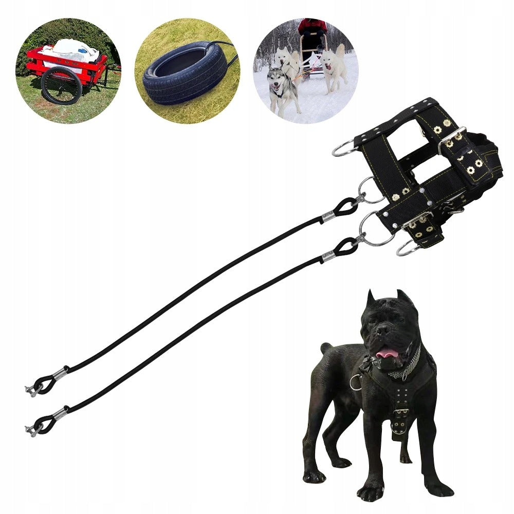 Large Dog Training Harness Strong Training Amstaf Pitbull Cane Corso