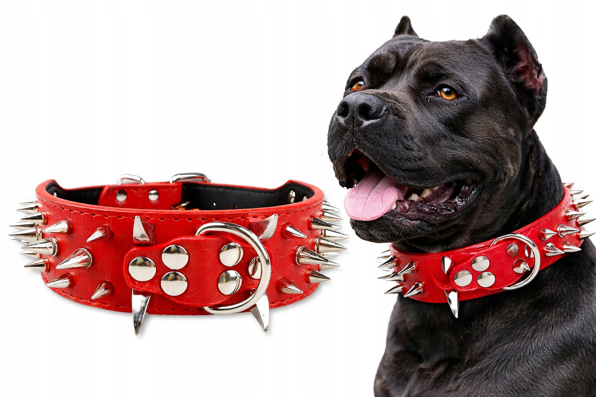 Large Dog Wide Leather Collar Massive with Decorative Spikes M