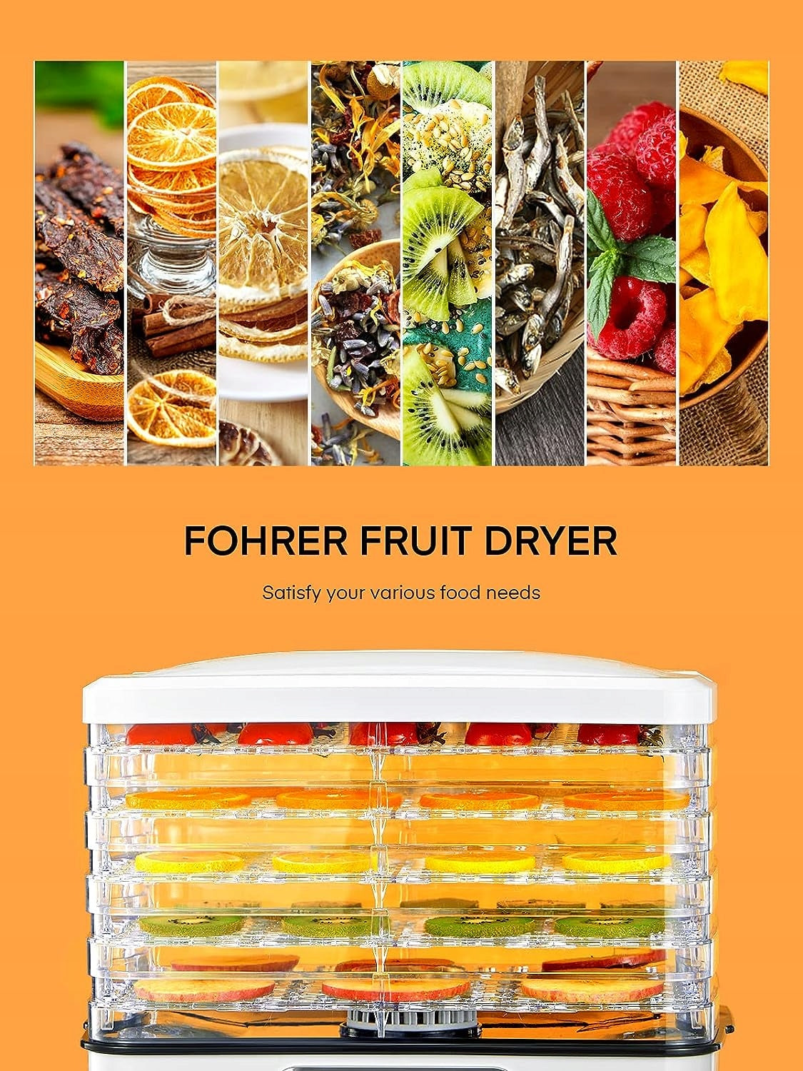 Large Food Dryer for Mushroom Fruit Vegetable Meat Temperature Control Manufacturer code 794775426027