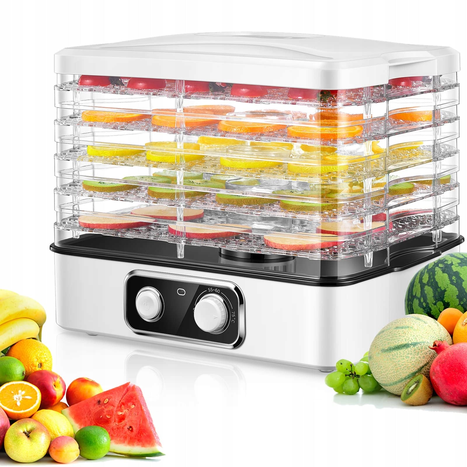 Large Food Dryer for Mushroom Fruit Vegetable Meat Temperature Control