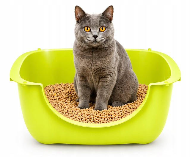 Large Modular Open Cat Cuvette with Low Cat Litter Entry Brand Rotho