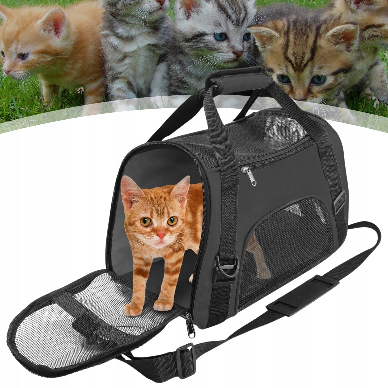 Large Strong Transporter for Rabbit Cat Dog Bag Size M Kind carrier