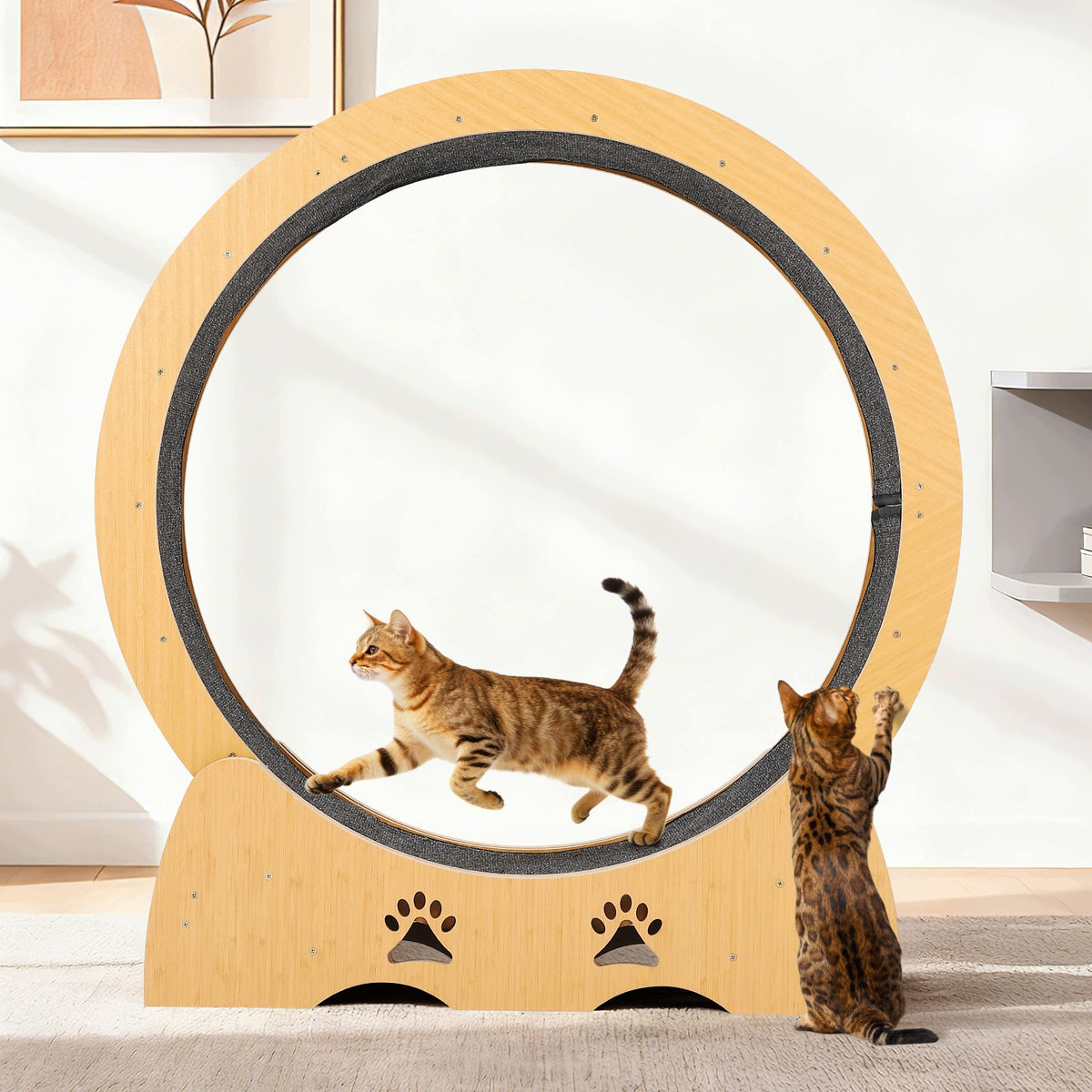 Large Wooden Cat Exercise Wheel Treadmill, Detachable Carpeted Track Manufacturer code JOLLYTOP