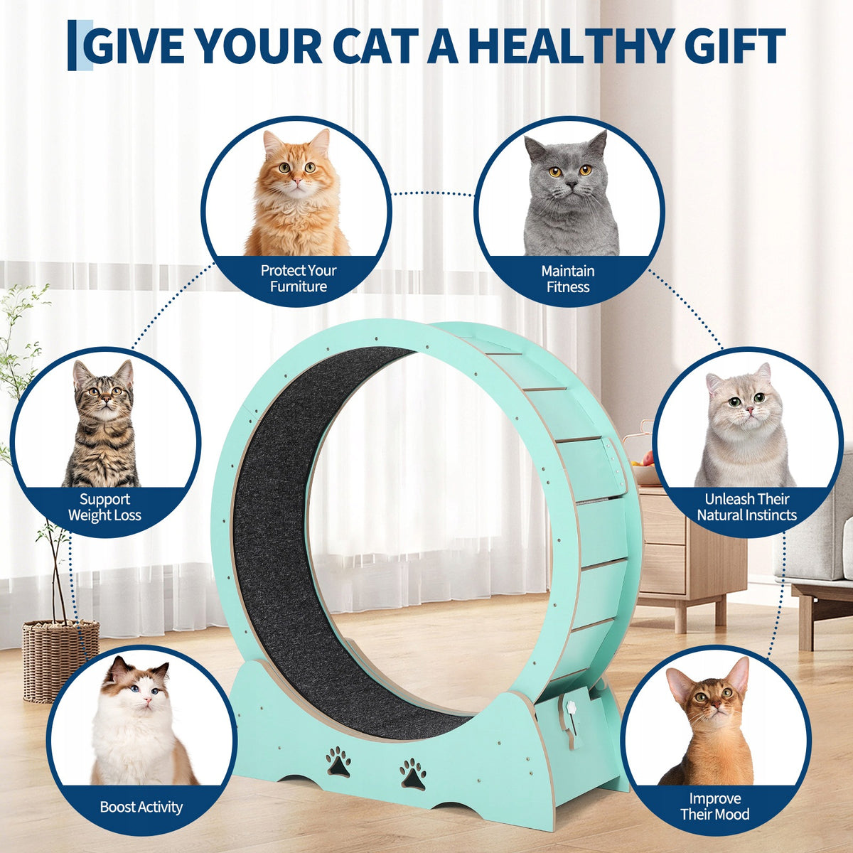 Large Wooden Cat Exercise Wheel Treadmill, Detachable Carpeted Track Mint Manufacturer code JOLLYTOP