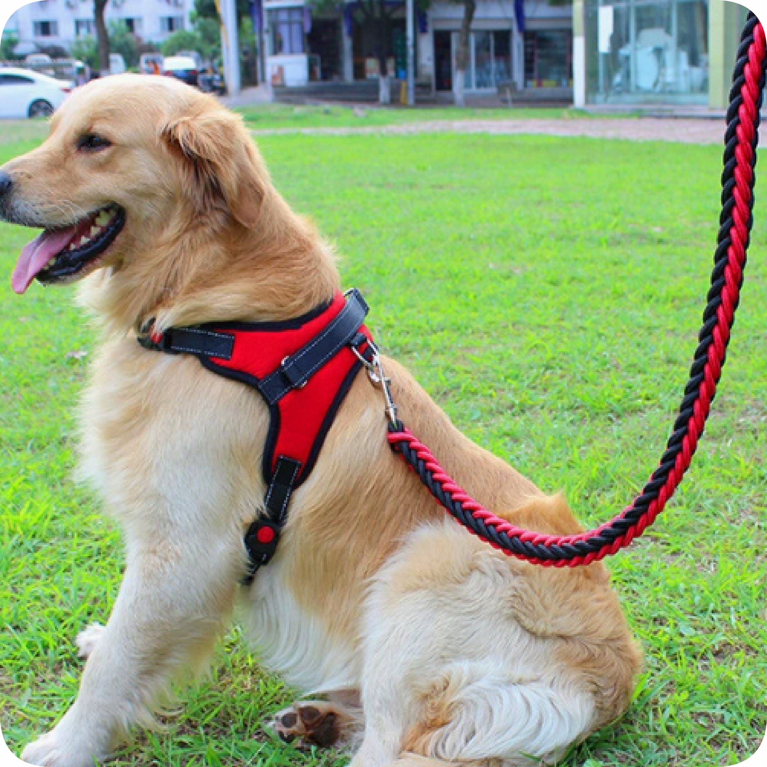 Large dog harness XL pressure-free dog harness and STRONG LEASH 120 cm Manufacturer code L Zestaw szelki + smycz czerwone