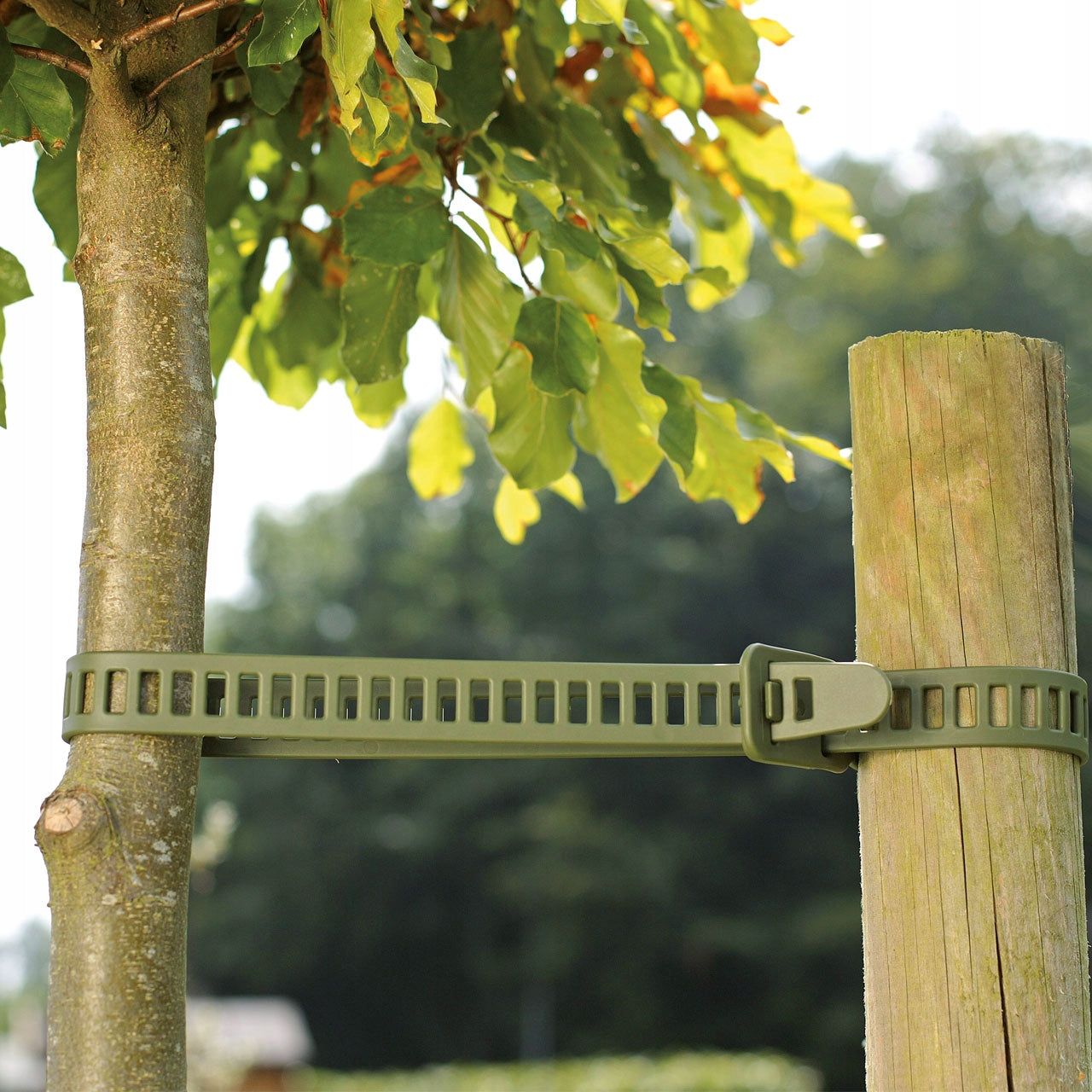 Large fastening band for trees, shrubs, branches TREEFIX XL - 88 x 2,8 cm EAN (GTIN) 4007114260050