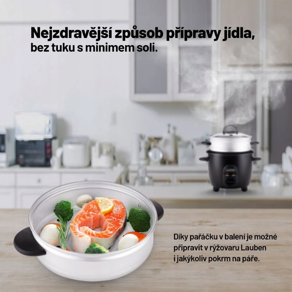Lauben Rice Cooker 600BC - rýžovar Dominant color black