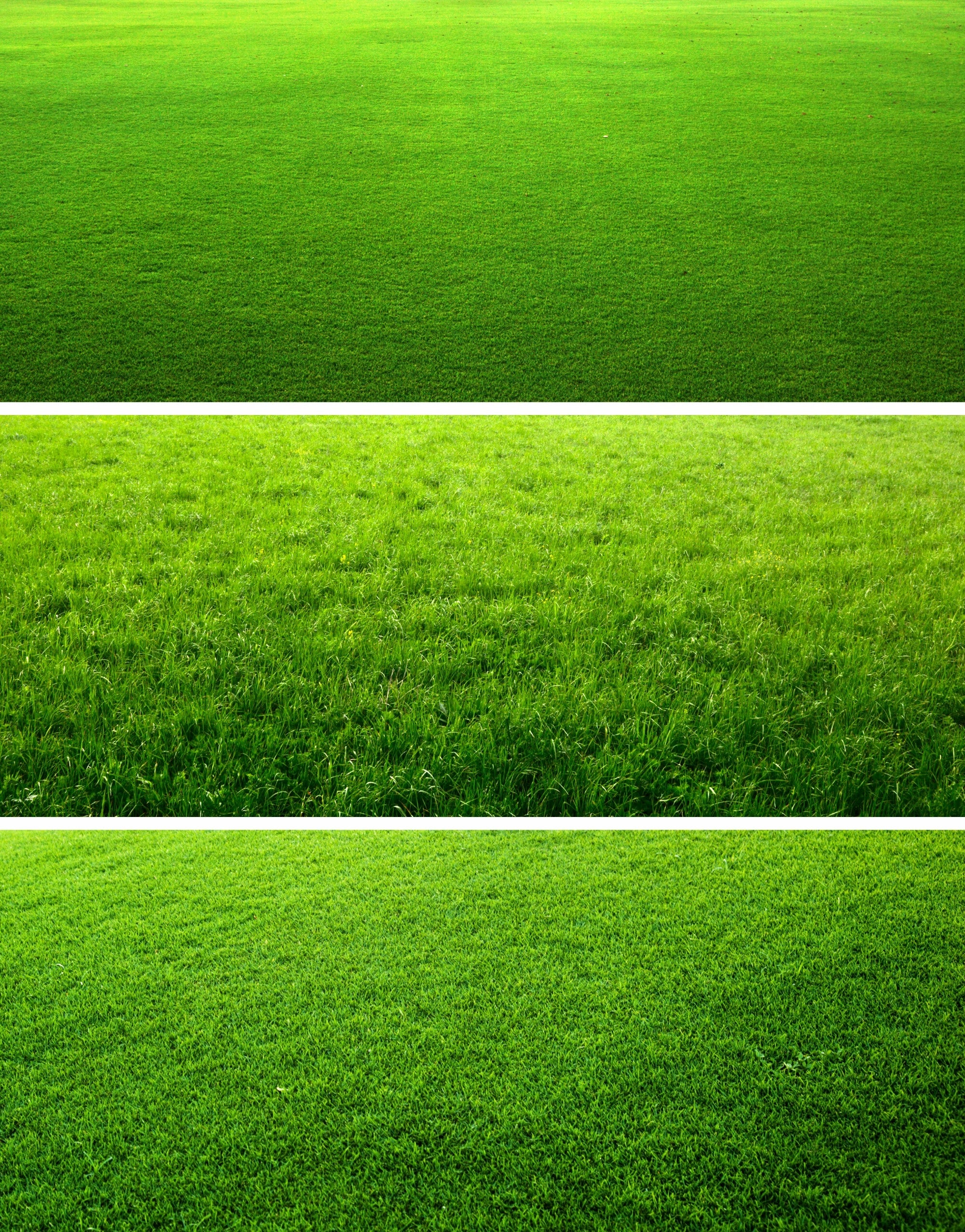Lawn Fertilizer 1kg Granulated ZIEMOVIT Manufacturer code TZ-010