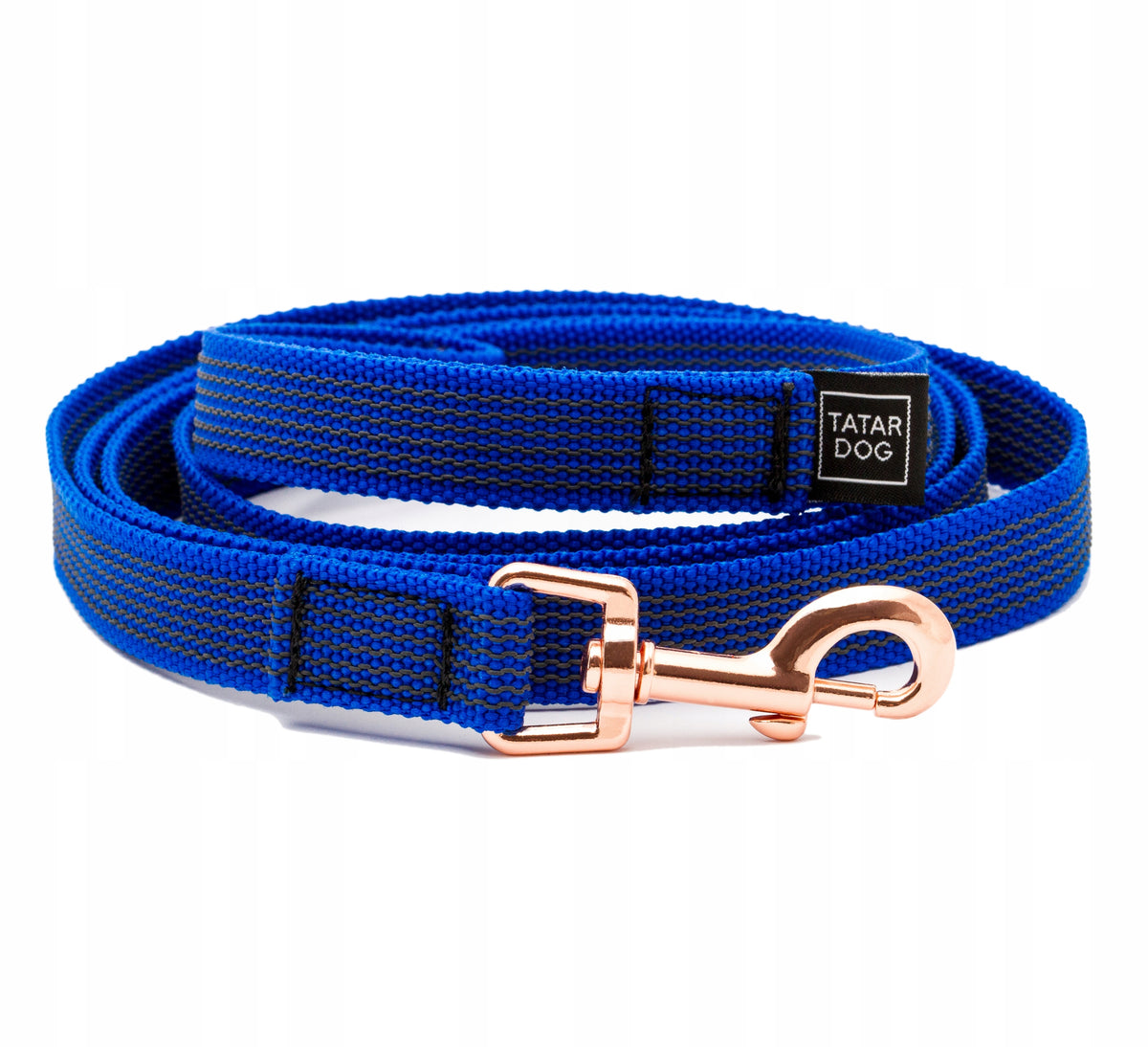 Leash, rubberized training tape, BLUE, 3 m