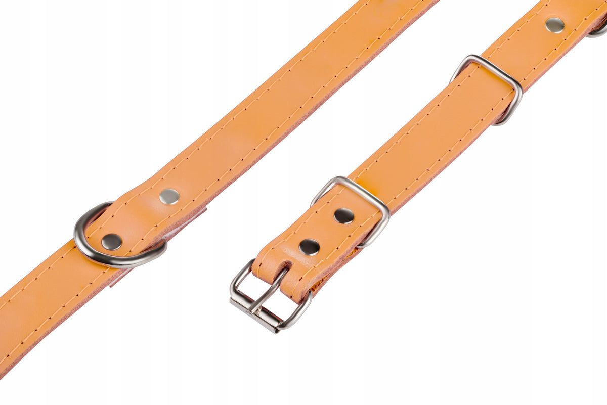 Leather Collar for Big Dog with Soft Lining Adjustable 48-60CM/4CM Packaging status original