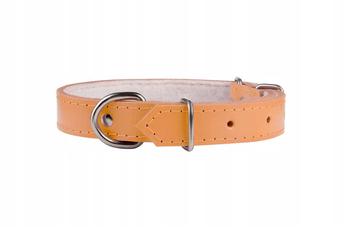 Leather Collar for Big Dog with Soft Lining Adjustable 48-60CM/4CM
