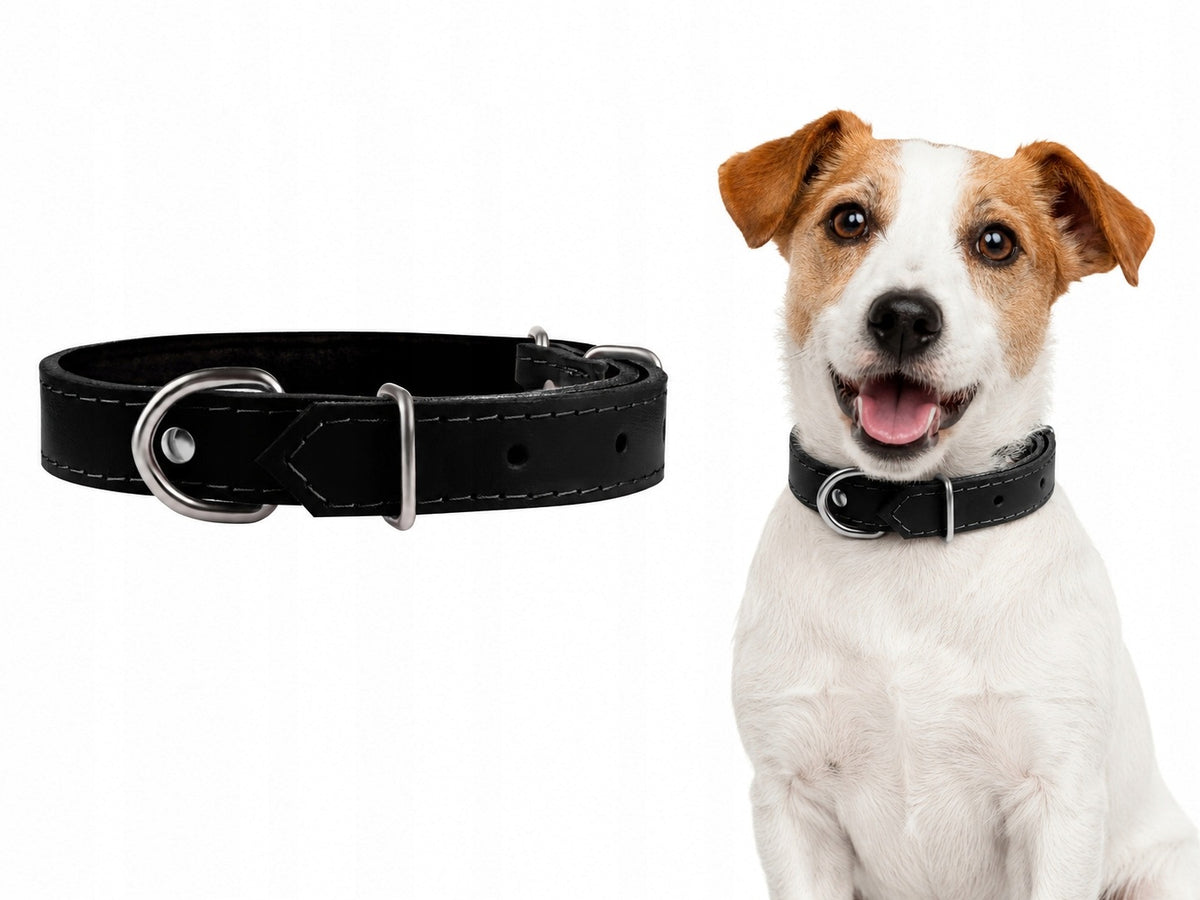 Leather collar for dog |CHABA| Black