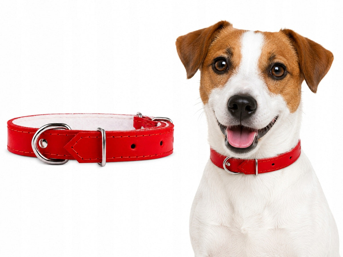 Leather collar for dog |CHABA| Red