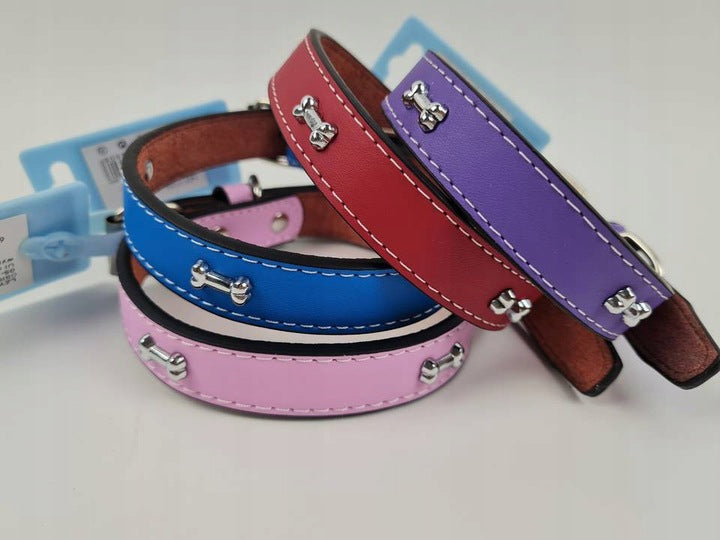Leather collar for dog