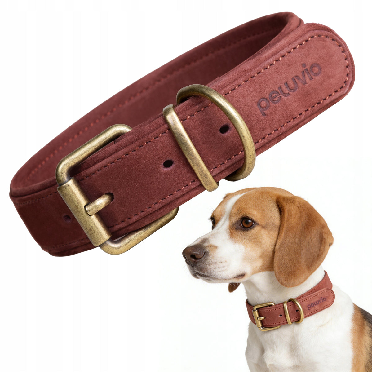 Leather collar for medium dog Peluvio Rexor M strong adjustable lightweight