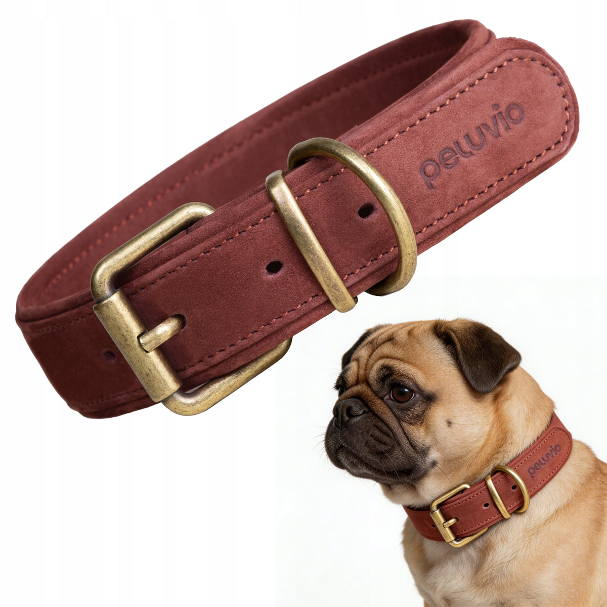 Leather collar for small dog Peluvio Rexor S strong adjustable lightweight