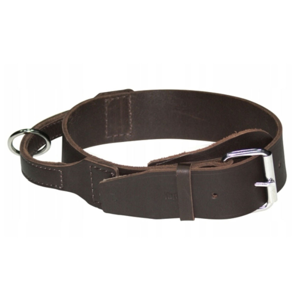 Leather collar with handle for dog DINGO SOFT 5x60cm