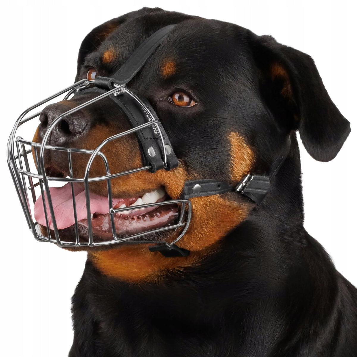 Leather muzzle BronzeDog large//5150//Z7