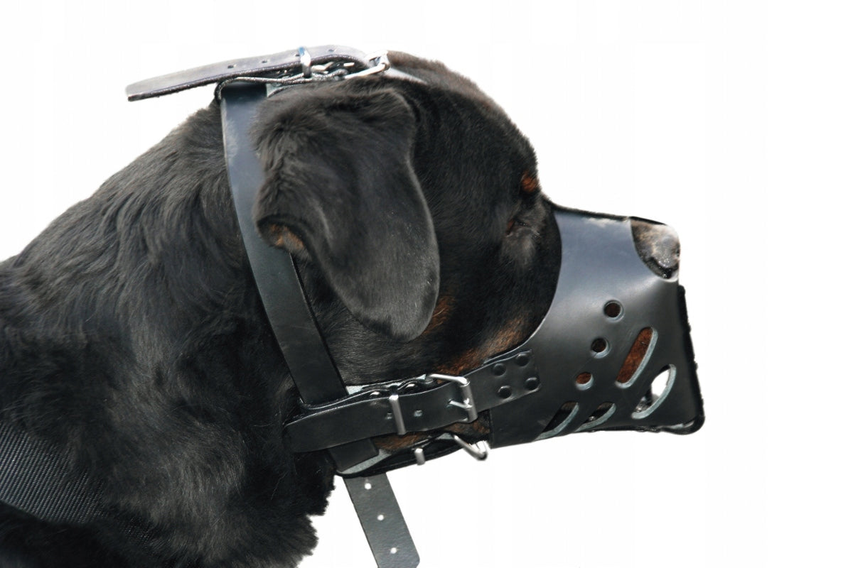 Leather muzzle female for Amstaff bitch Manufacturer code 3007057