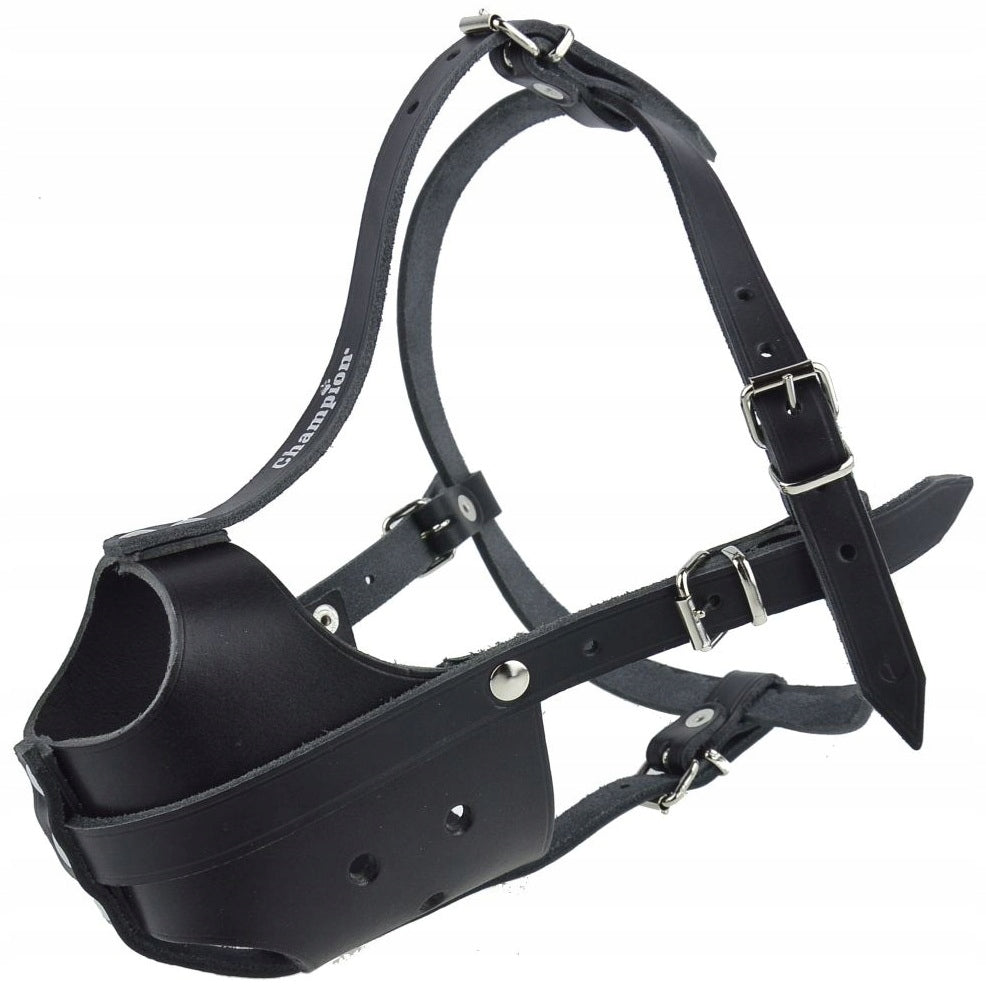 Leather muzzle for Dog Champion Built-in Amstaff A3 33/7,5cm