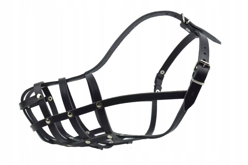 Leather muzzle for Dog Champion Caucasus K1 40/11,5cm